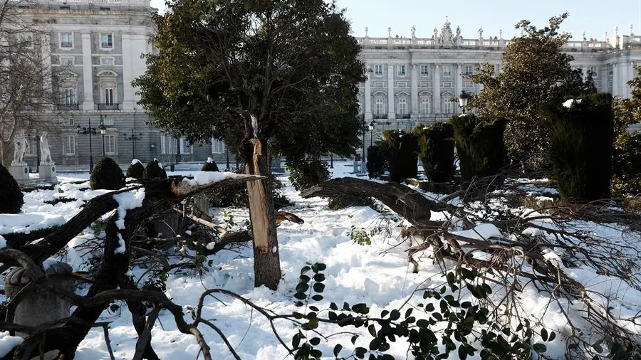 Pol&eacute;mica entre el Ayuntamiento de Madrid y el Gobierno ante la posibilidad de declarar la zona catastr&oacute;fica por el temporal Filomena
