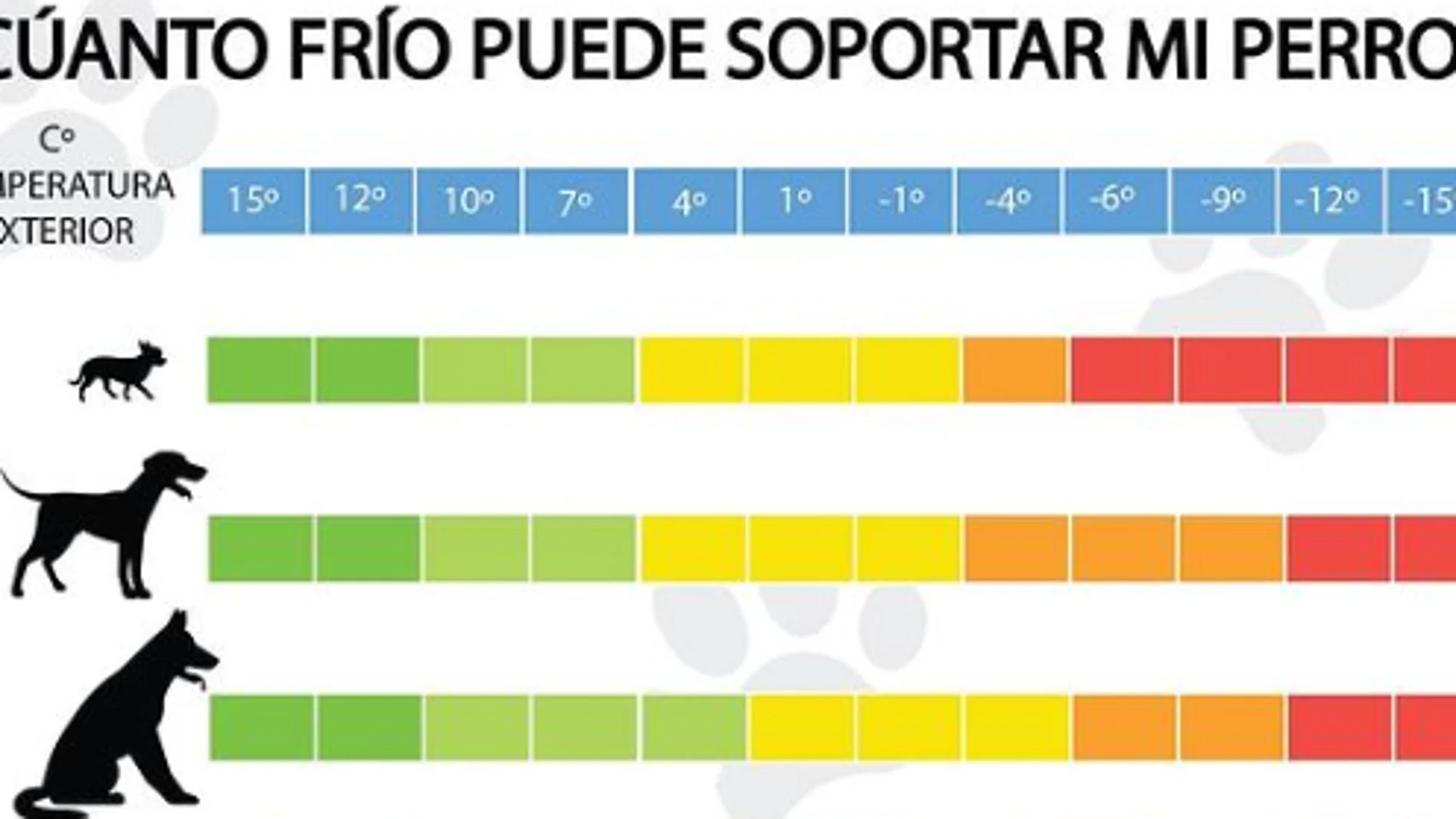 ¿Cuánta temperatura puede soportar mi perro? ¿Cuánta temperatura puede soportar mi perro?