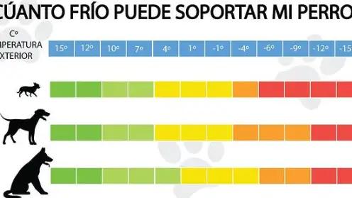 ¿Cuánta temperatura puede soportar mi perro? ¿Cuánta temperatura puede soportar mi perro?