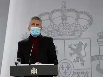 El ministro de Interior, Fernando Grande Marlaska El ministro de Interior, Fernando Grande Marlaska