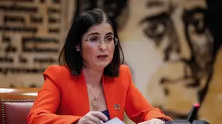 La nueva titular de Sanidad, Carolina Darias, en una comparecencia anterior en el Congreso. La nueva titular de Sanidad, Carolina Darias, en una comparecencia anterior en el Congreso.
