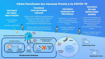 ¿Cómo funcionan las vacunas? ¿Cómo funcionan las vacunas?