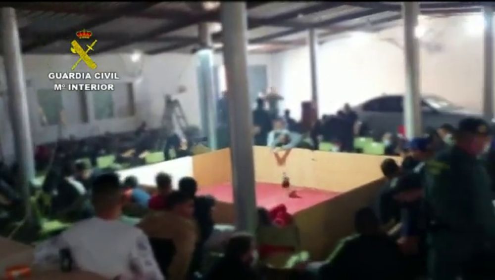 La Guardia Civil disuelve una pelea de gallos que concentraba a 89 personas con armas y drogas en El Ejido