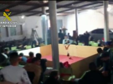 La Guardia Civil disuelve una pelea de gallos que concentraba a 89 personas con armas y drogas en El Ejido