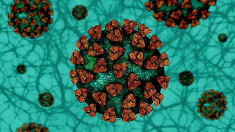 Coronavirus Coronavirus