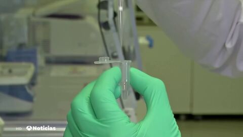 El coronavirus puede empeorar la calidad de los espermas