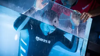 Así ha quedado el ranking general de la Apnea tras la final de 'El Desafío' Así ha quedado el ranking general de la Apnea tras la final de 'El Desafío'