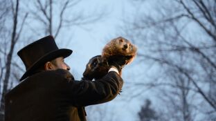 D&iacute;a de la Marmota? 2021: Origen de la expresi&oacute;n e historia de la predicci&oacute;n de Phil