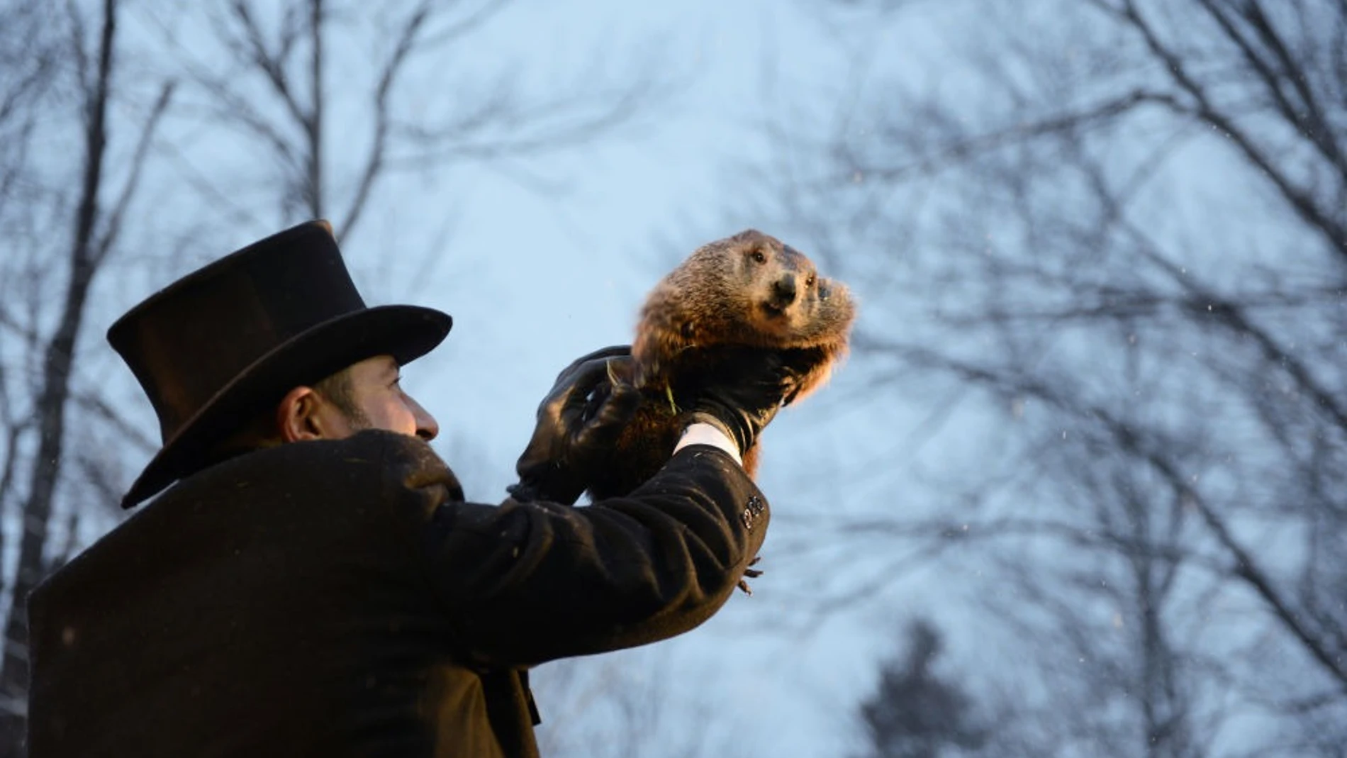 Día de la Marmota? 2021: Origen de la expresión e historia de la predicción de Phil Día de la Marmota? 2021: Origen de la expresión e historia de la predicción de Phil