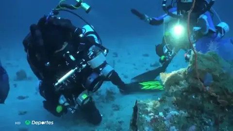 Un buzo descubre los secretos del ascidia, el animal marino clave para desarrollar el antiviral español contra el coronavirus Un buzo descubre los secretos del ascidia, el animal marino clave para desarrollar el antiviral español contra el coronavirus