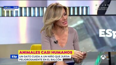 Susanna Griso habla de su galgo: 