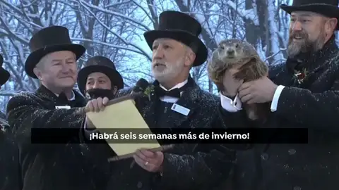 Día de la Marmota: La marmota Phil predice 6 semanas más de invierno Día de la Marmota: La marmota Phil predice 6 semanas más de invierno