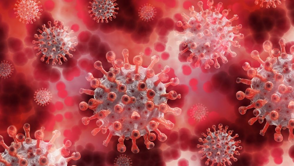 OMS advierte del riesgo de rebrote por coronavirus