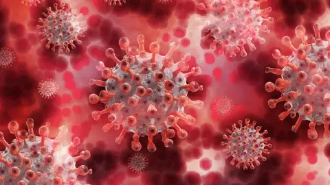 OMS advierte del riesgo de rebrote por coronavirus OMS advierte del riesgo de rebrote por coronavirus