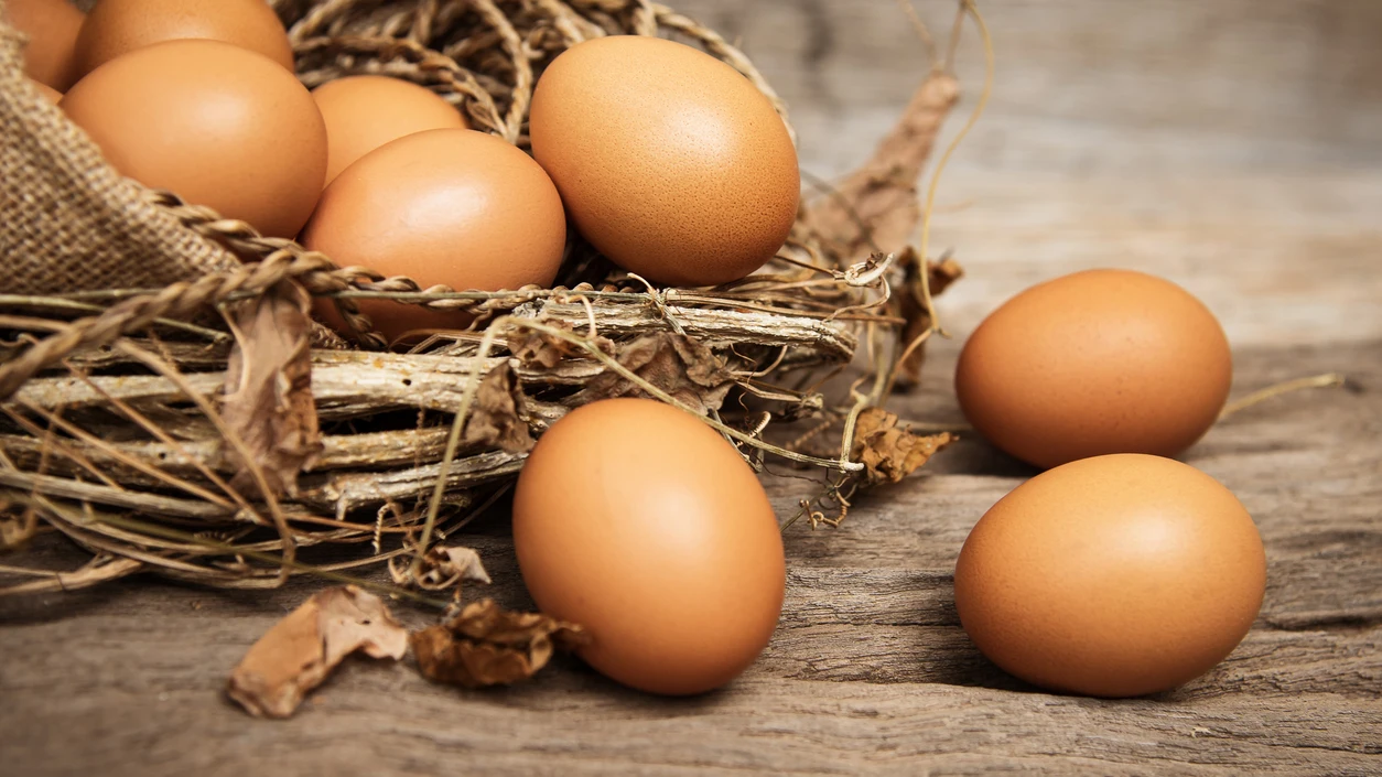 Huevos