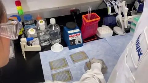 Astrazeneca Astrazeneca