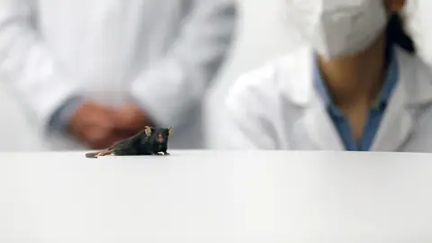 Qué sabemos del anticuerpo diseñado por científicos que puede prevenir el coronavirus Qué sabemos del anticuerpo diseñado por científicos que puede prevenir el coronavirus