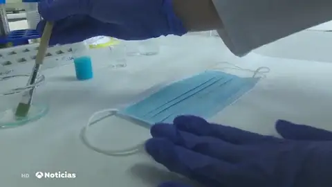 Coronavirus Coronavirus