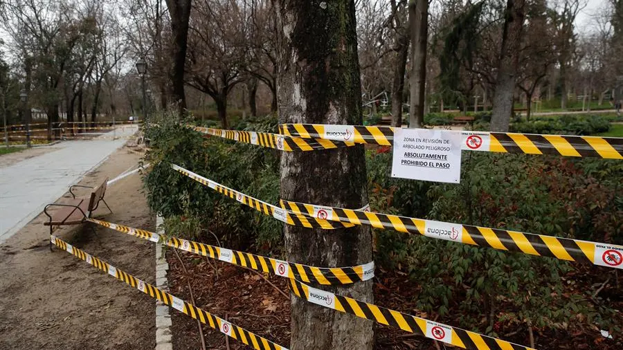 Vista de una zona de &aacute;rboles acordonada en el parque del Retiro.
