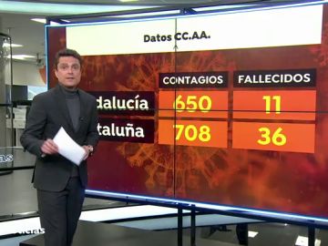 NUEVA CATA NUEVA CATA