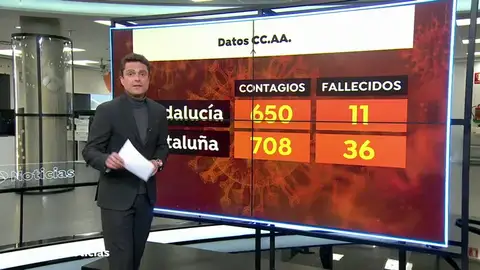 NUEVA CATA NUEVA CATA