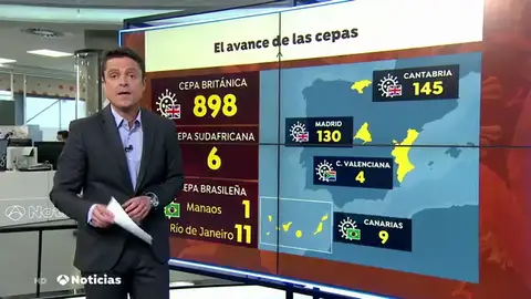 Cepas coronavirus Cepas coronavirus