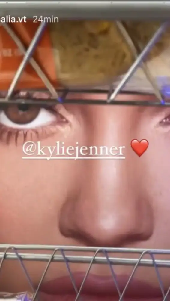 Kylie Jenner en las stories de Rosalía