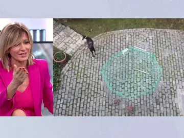 Susanna Griso. Susanna Griso.