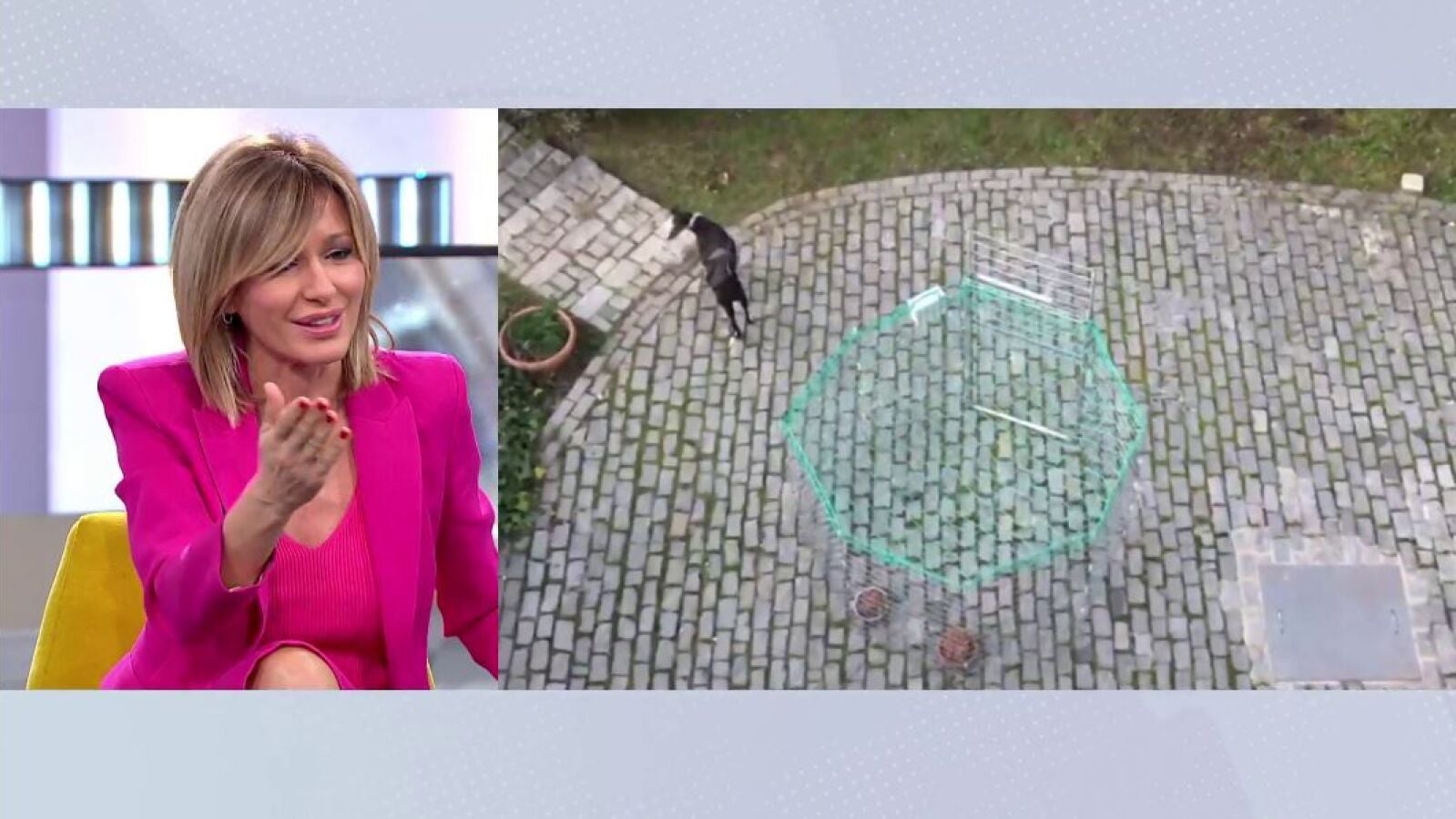 Susanna Griso se emociona tras rescatar a su perra: 