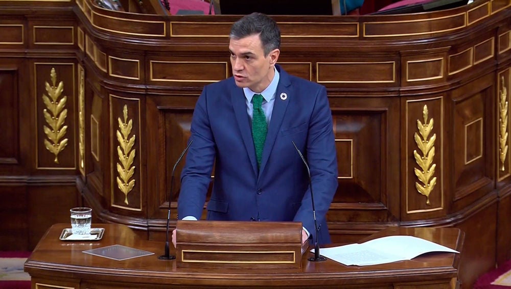 Pedro Sánchez durante su comparecencia en el Congreso