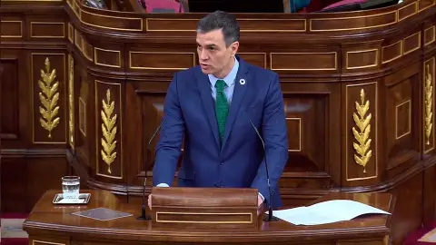 Pedro Sánchez durante su comparecencia en el Congreso Pedro Sánchez durante su comparecencia en el Congreso