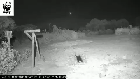Una bola de fuego atraviesa los cielos de Ciudad Real, Benicàssim e Ibiza Una bola de fuego atraviesa los cielos de Ciudad Real, Benicàssim e Ibiza
