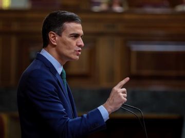 Pedro Sánchez: "España es una democracia plena y no puede amparar, consentir ni desentenderse de la violencia" 