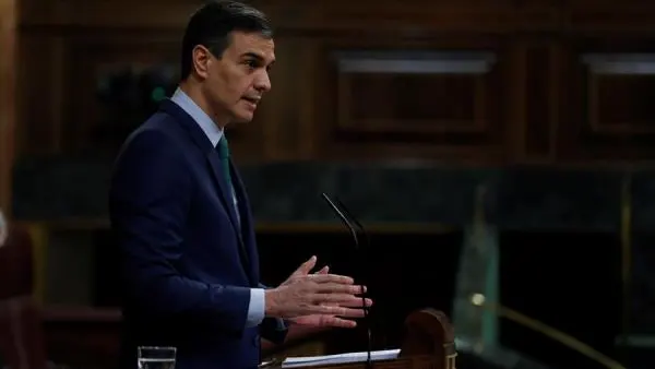 Pedro S&aacute;nchez en el Congreso