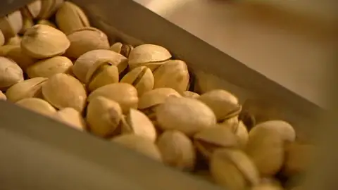 Día Mundial del Pistacho Día Mundial del Pistacho