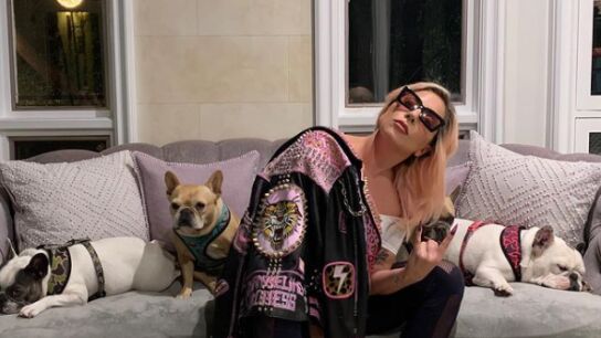 Lady Gaga posa junto a sus tres perros