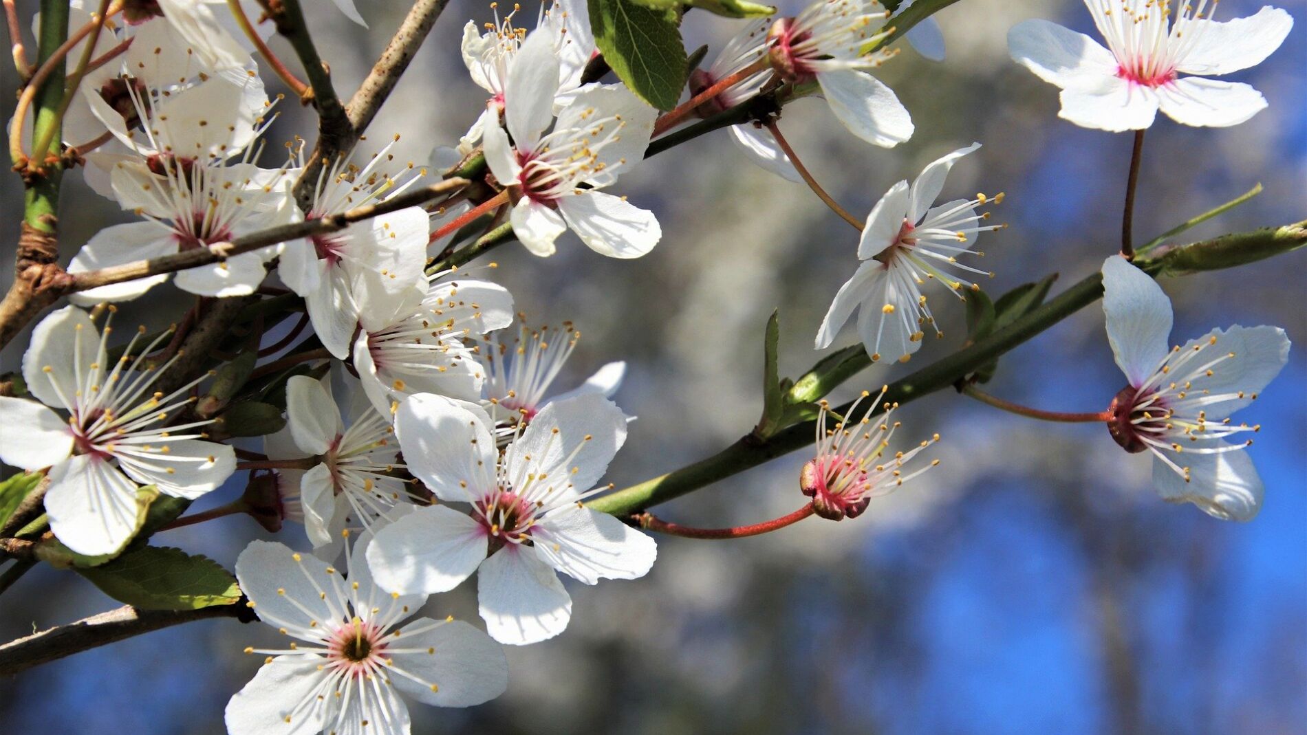 Las mejores frases para dar la bienvenida a marzo