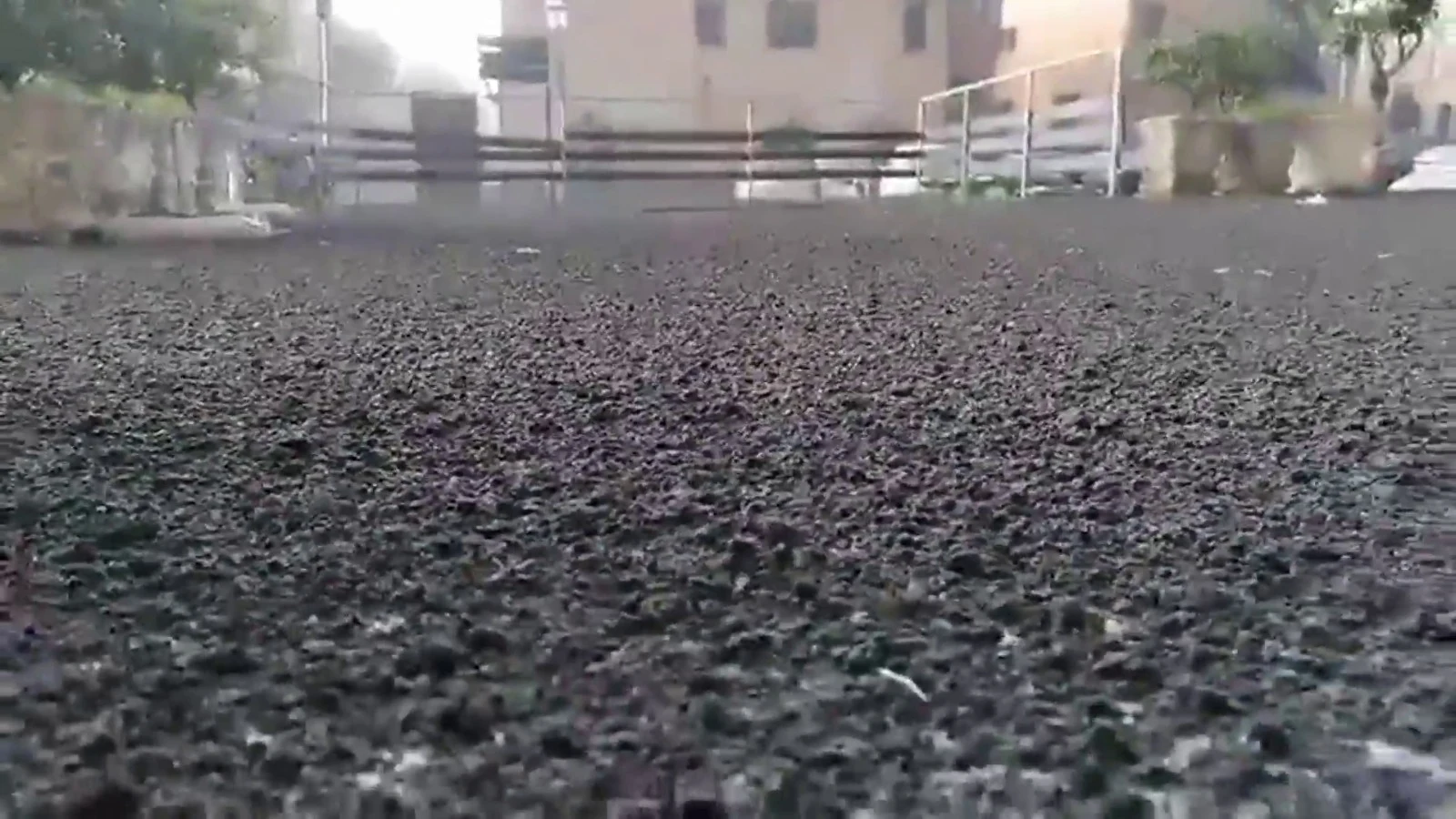 Lluvias de ceniza por la erupci&oacute;n del volc&aacute;n Etna