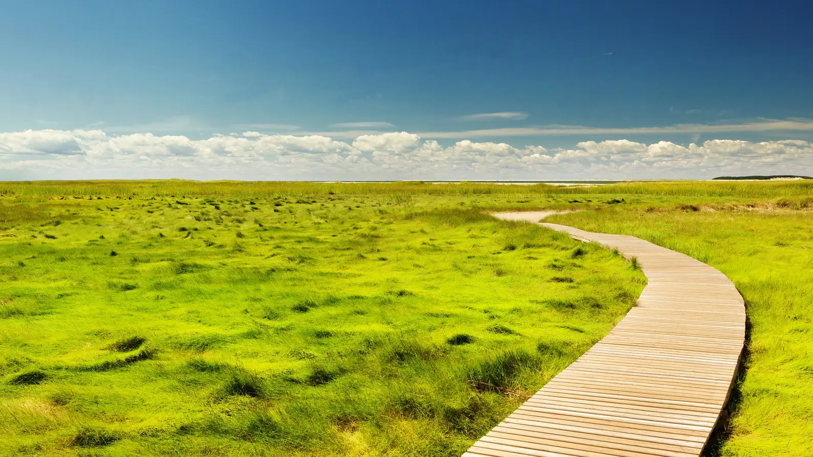 &iquest;Por qu&eacute; se celebra el 3 de marzo el D&iacute;a Mundial de la Vida Silvestre?