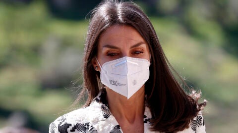 El mechón de canas que caracteriza a la reina Letizia