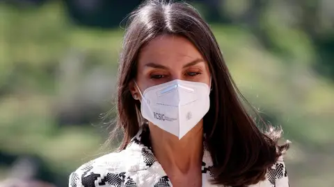 El mechón de canas que caracteriza a la reina Letizia El mechón de canas que caracteriza a la reina Letizia
