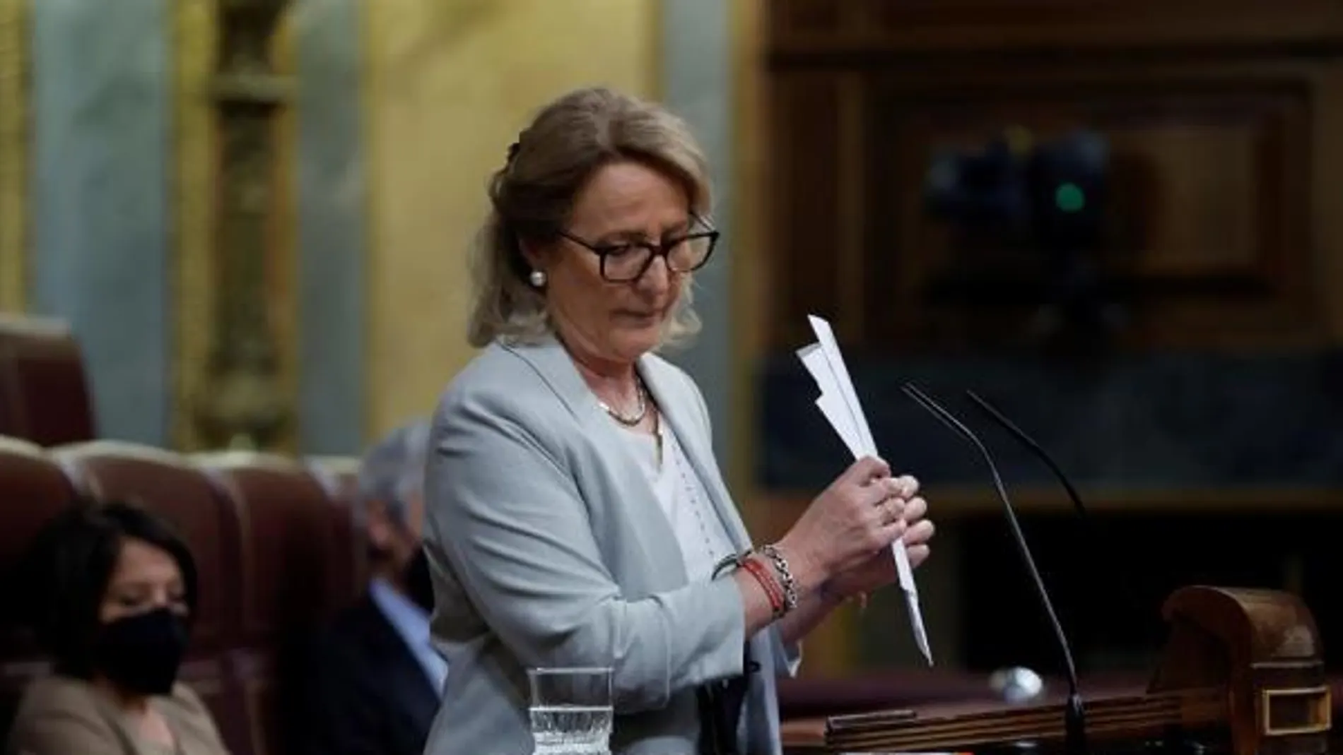 Lourdes Méndez, diputada de Vox Lourdes Méndez, diputada de Vox