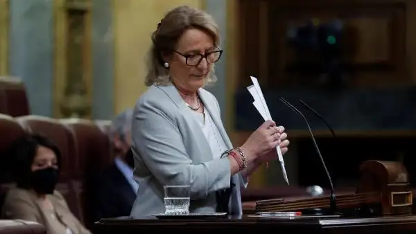 Lourdes Méndez, diputada de Vox Lourdes Méndez, diputada de Vox