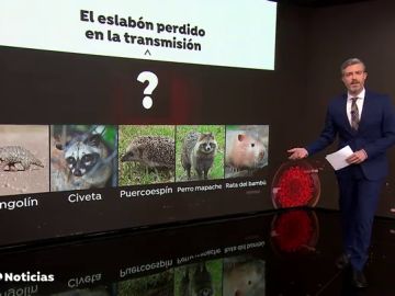 El coronavirus ya circulaba por China en octubre de 2019
