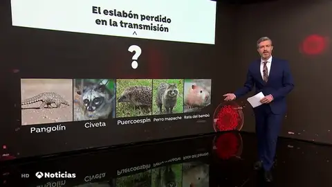El coronavirus ya circulaba por China en octubre de 2019 El coronavirus ya circulaba por China en octubre de 2019