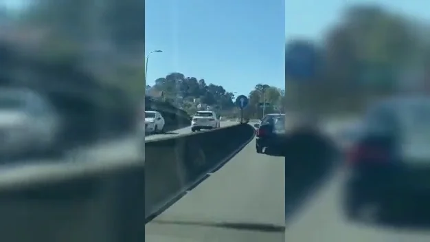 Un kamikaze circula por la N-525 en Ourense en sentido contrario e intenta remendar su imprudencia con un giro igual de peligroso Un kamikaze circula por la N-525 en Ourense en sentido contrario e intenta remendar su imprudencia con un giro igual de peligroso
