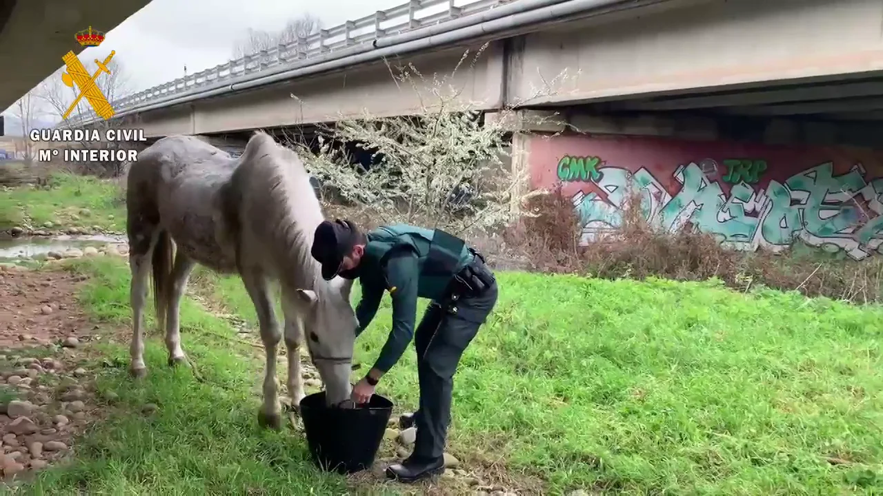 La Guardia Civil investiga a un hombre de la Rioja por abandono animal La Guardia Civil investiga a un hombre de la Rioja por abandono animal