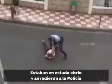 Detienen a una pareja de ingleses por aparcar en un vado y agredir a la Policía en Adeje (Tenerife) 