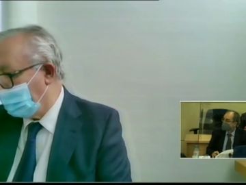 Javier Arenas se desvincula de los papeles de Bárcenas en el juicio de la 'caja B': "Desconozco si hay otro Javier Arenas en el PP"