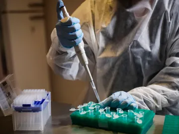 Pfizer inicia un estudio de un fármaco oral contra el coronavirus en Estados Unidos Pfizer inicia un estudio de un fármaco oral contra el coronavirus en Estados Unidos
